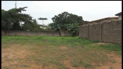 whatsapp image 2025 10 08 at 2.45.18 am